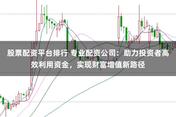 股票配资平台排行 专业配资公司：助力投资者高效利用资金，实现财富增值新路径
