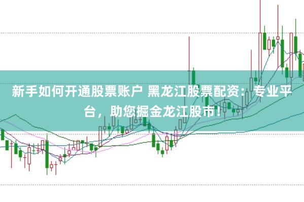 新手如何开通股票账户 黑龙江股票配资：专业平台，助您掘金龙江股市！
