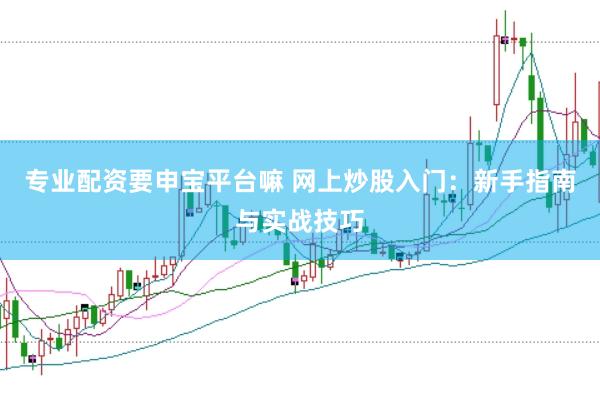 专业配资要申宝平台嘛 网上炒股入门:新手指南与实战技巧